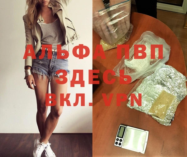 крисы Алзамай