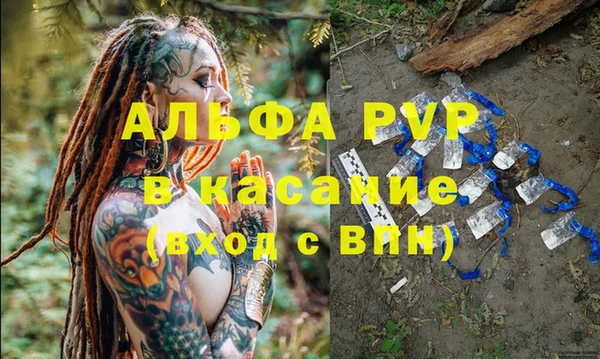 крисы Алзамай