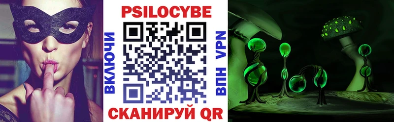 Галлюциногенные грибы Psilocybe Большой Камень