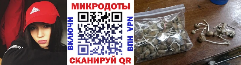 Галлюциногенные грибы GOLDEN TEACHER  купить  сайты  Большой Камень 